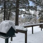 Frio de principios de invierno en Star Valley – Clima
